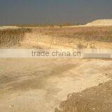 Diatomaceous Earth Powder thumbnail-2