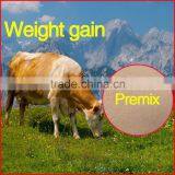 Cows Weight Gain (Traditional Chinese Medicine)