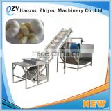 500-700kgs/hour Industrial Stainless Steel Garlic Peeling Peeler Machine/garlic peeling machine dry type(0086 15639144594)