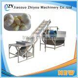 Top Selling Garlic Processing Machine Garlic Skin Remover/garlic Clove Skinning Machine for Sale thumbnail-5