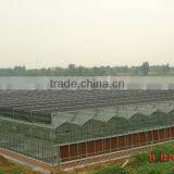 Outside Shading Systems on Greenhouse thumbnail-1