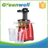 Greenwell 2 New Products Popular in European Best Fruit Vegetable Juicer