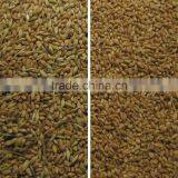 Factory Wheat Color Sorter/barley Wheat Color Sorting Machine/color Separator thumbnail-6