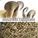 Mushroom Belt Drying Machine thumbnail-4