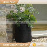 50 Gallon Grow Bag Tomato Planter Smart Garden thumbnail-2