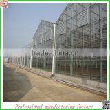 Hot Sale 10.8m Multi-span Venlo Glass Greenhouse Grow Tent for Agriculture thumbnail-5