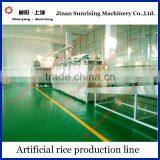 Artificial Rice Extruder Making Machine thumbnail-5