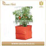 2017 New 2017 Wholesale Felt Garden Grow Bags Felt Large Plant Pots thumbnail-1
