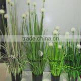 SJ03015054 Decoration Garden Artificial PVC Onion Grass thumbnail-6
