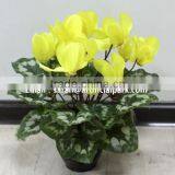SJ300917 Artificial Bonsai Plant Flower thumbnail-2