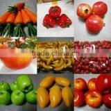 SJH1492911 Christmas Artificial Fruit Wall Decor Fruit Decoration Plastic Fruit