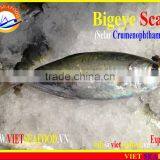 FROZEN BIGEYE SCAD WHOLE ROUND thumbnail-4