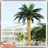 2015 Artificial 3-30m Indoor or Outdoor Home Date Palm Tree,artificial Tree,artificial Plant thumbnail-3