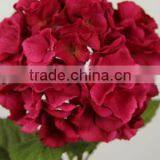 High Quality Collocation Festive White Hydrangea