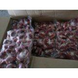 Duck Gizzards thumbnail-2