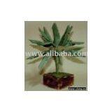 THANAN MODEL TREE thumbnail-1