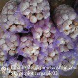 5.5cm Normal White Garlic Loose Packing In 10kg Mesh Bag thumbnail-3