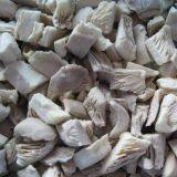 Edible Mushroom Fungus Frozen Frozen Frozen Oyster Cubes