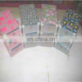 Color Plastic Shoe Box