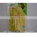 Seasoned Bamboo Shoot