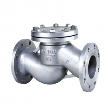Water Steam Swing Spring Lift Check Valve