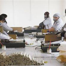 Shandong Yumeiren Wormwood Products Co., Ltd company overview - view 4 thumbnail