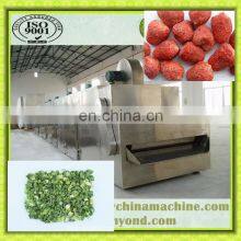 Tunnel Belt Dryer for Dehydrating Vegetable and Fruit thumbnail-3