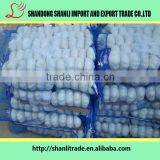 Pure White Wholesale Natural Garlic/garlic Powder/fresh Garlic Chinese thumbnail-6