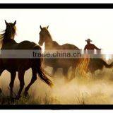 300 Inch Projector Screen