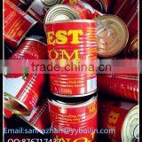 USD7.7/carton FOB Tomato Paste,main Market for Middle East,west Africa thumbnail-3