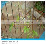 Plastic Plant Support Net thumbnail-4