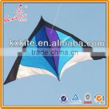 Kaixuan Easy flying Single Line Delta Kite