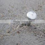 Common Nail Type and ISO Standard High Quality Common Nails Price thumbnail-1