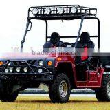 2014 new 1100cc BUGGY with EPA