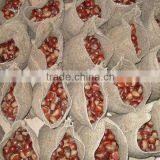 New Crop Fresh Chinese Chestnut thumbnail-1