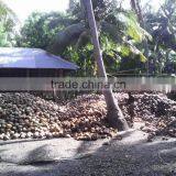 Fresh Coconuts From India thumbnail-2