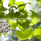 Top Quality Economic Tree Seeds Ginkgo Biloba Seeds For Sale