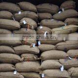 Chinese Fresh Chestnuts, Sweet and Easy Peeling thumbnail-5