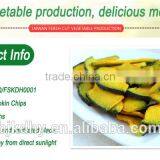 Pumpkin Chips thumbnail-6