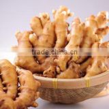 Online Buy Wholesale Ginger Price per kg
