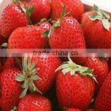 100% Natural Strawberry Juice Powder ISO, GMP, HACCP, KOSHER, HALAL Certificated Manufacture thumbnail-2