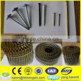 Umbrella Head Iron Nails, Galvanized Nails, Iron Nails,coil Nails, Nails Supplier thumbnail-3