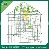 Get $1000 Coupon Decorative Garden Fencing thumbnail-5