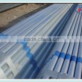 Hot Dipped Galvanized Scaffolding Pipe/Green House Pipe
