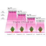 Cob 900W LED Grow Light Wholesale thumbnail-5