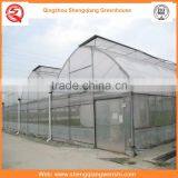Agriculture Equipment Multi-span 6.0m Plastic PE Film Agriculture Greenhouse for Sale thumbnail-4