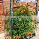 Tomato Greenhouse,greenhouse Agricultural,home Greenhouse for Flower and Plant thumbnail-1