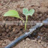 Drip Irrigation PE Pipe thumbnail-3