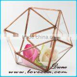Indoor Plant Greenhouse Rose Gold Frame Hanging Glass Geometric Terrarium thumbnail-2