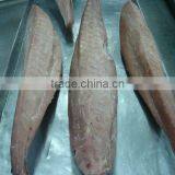 Tuna Loins thumbnail-1